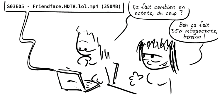 Retour sur le mec lambda derrière son PC qui regarde un fichier nommé : « S03E05 - Friendface.HDTV.lol.mp4 (350MB) » Il se demande : « Ça fait combien en octets, du coup ? » Une amie lui répond : « Bah ça fait 350 mégaoctets, banane ! »