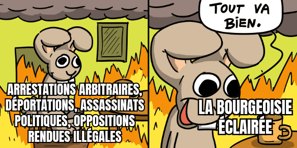 Mème : à gauche, un lapin au milieu d'un appartement en feu, avec pour légende « arrestations arbitraires, déportations, assassinats politiques, oppositions rendues illégales », est serein sur son tabouret. À droite, le lapin dit « Tout va bien. » en souriant, avec pour légende « la bourgeoisie éclairée ».