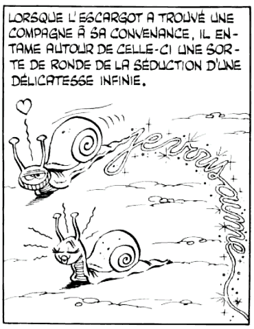 Une case de la Rubrique-à-brac : « Lorsque l'escargot a trouvé une compagne à sa convenance, il entame autour de celle-ci une sorte de ronde de la séduction d'une délicatesse infinie. » Un escargot écrit « je vous aime » avec sa bave.