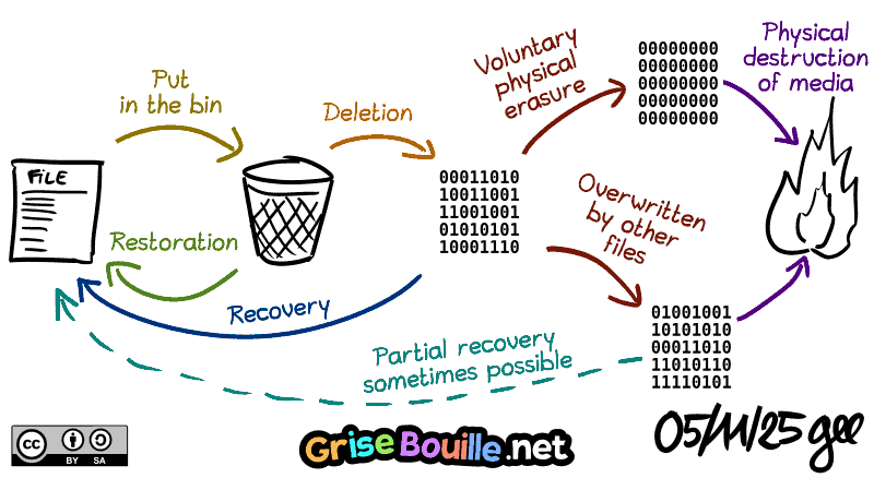 A file is first placed in the recycle bin (where it can be restored); then it is deleted (where it can be recovered if not yet overwritten); then it is physically erased by a utility or overwritten by another file (and restoration is impossible or partially possible); the media is physically destroyed (it's over). Note: Comic strip licensed under CC BY SA (grisebouille.net), drawn on November 5, 2025 by Gee.