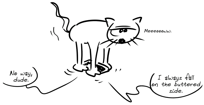 A cat with a piece of toast tied between its paws, at the bottom: “Meeooow.” The piece of toast says: “No way, dude. I always fall on the buttered side.”