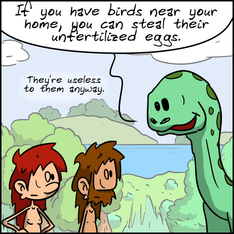 Didi explains: “If you have birds near your home, you can steal their unfertilized eggs. They're useless to them anyway.”