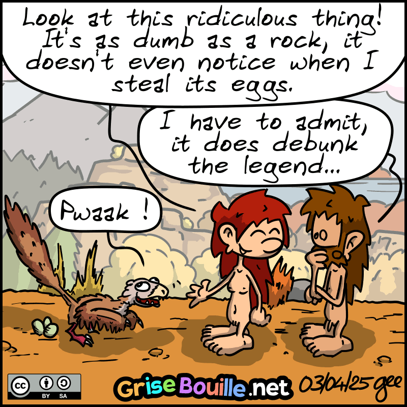 Magnon shows John-Cro the animal, which is a tiny dinosaur covered in feathers and looking a bit silly. Magnon: “Look at this ridiculous thing! It's as dumb as a rock, it doesn't even notice when I steal its eggs.” The velociraptor: ”PWaaaak!“ John-Cro: “I have to admit, it does debunk the legend...” Note: Comic strip licensed under CC BY SA (grisebouille.net), drawn on April 3, 2025 by Gee.