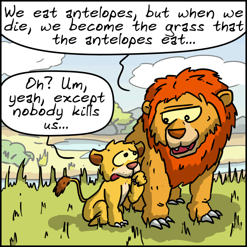 The lion king explains to his son: “We eat antelopes, but when we die, we become the grass that the antelopes eat…” The cub replies: “Oh? Um, yeah, except nobody kills us...” 