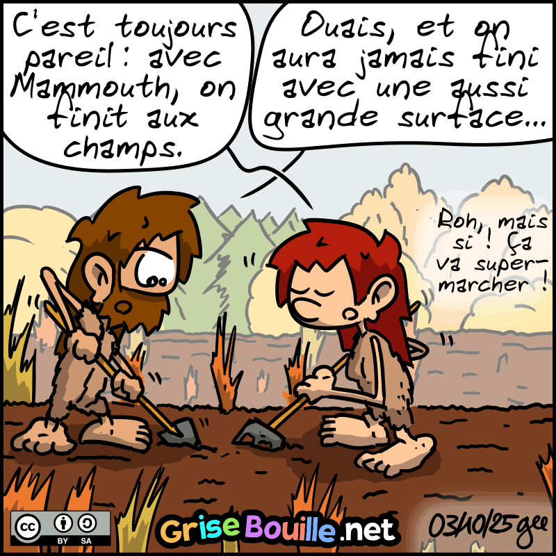Les deux sont en train de labourer le champ. Magnon : « C'est toujours pareil : avec Mammouth, on finit aux champs. » Jean-Cro : « Ouais. Et c'est une sacrée grande surface ! On aura jamais fini… » Magnon : « Roh, mais si, ça va super-marcher ! » Note : BD sous licence CC BY SA (grisebouille.net), dessinée le 3 octobre 2025 par Gee.