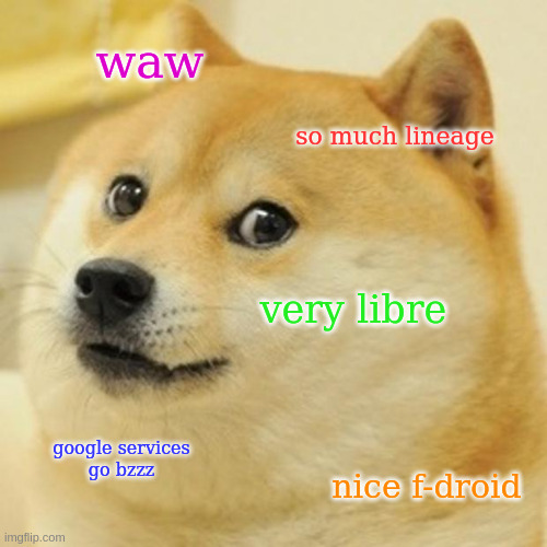 Mème : un chien avec plein de textes de toutes les couleurs. « Waw », « so much lineage », « very libre », « google services go bzzz », « nice f-droid »