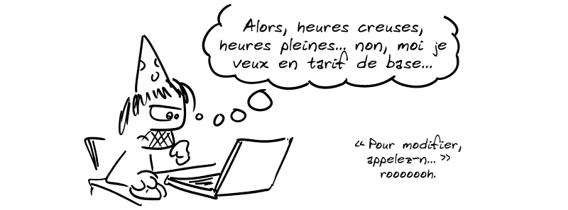 Gee, concentré sur l'ordinateur, pense : « Alors, heures creuses, heures pleines… non, moi je veux en tarif de base… “Pour modifier, appelez-n…”  rooooh. »