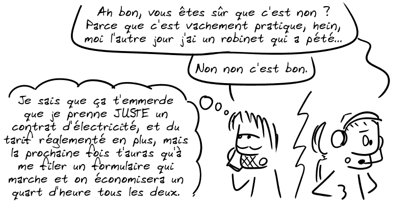 Le conseiller : « Ah bon, vous êtes sûr que c'est non ? Parce que c'est vachement pratique, hein, moi l'autre jour j'ai un robinet qui a pété… » Gee : « Non non c'est bon. » Gee pense : « Je sais que ça t'emmerde que je prenne JUSTE un contrat d'électricité, et du tarif réglementé en plus, mais la prochaine fois t'auras qu'à me filer un formulaire qui marche et on économisera un quart d'heure tous les deux. »
