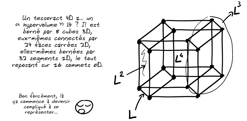 Un tesseract 4D a… un « hypervolume » L4 ? Il est borné par 8 cubes 3D, eux-mêmes connectés par 24 faces carrées 2D, elles-mêmes bornées par 32 segments 1D, le tout reposant sur 16 sommets 0D. Le smiley commente : « Bon forcément, là ça commence à devenir compliqué à se représenter… »