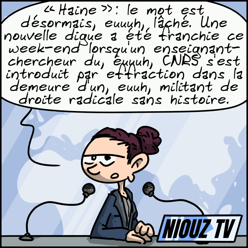 Une émission d'informations à la télé, la présentatrice dit : « “Haine” : le mot est désormais, eeuh, lâché. Une nouvelle digue a été franchie ce week-end lorsqu'un enseignant-chercheur du, euuh, CNRS s'est introduit par effraction dans la demeure d'un, euuh, militant de droite radicale sans histoire. »