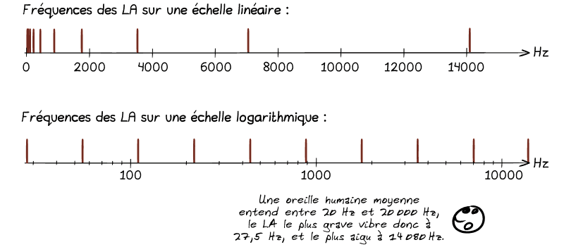 Deux graphiques l'un sur l'autre. Le premier montre un piques sur chaque fréquence de LA sur une échelle linéaire (on voit que c'est de plus en plus espacé) ; le deuxième montre les mêmes piquess des fréquences des LA mais sur une échelle logarithmique (l'espacement entre chaque piques devient le même). Le smiley : « Une oreille humaine moyenne entend entre 20 Hz et 20 000 Hz, le LA le plus grave vibre donc à 27,5 Hz, et le plus aigu à 14 080 Hz.