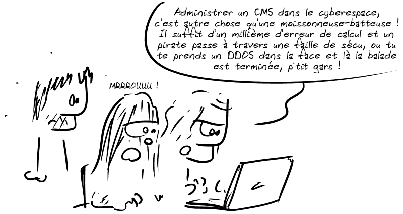 Gee regarde Han Solo derrière un ordinateur portable qui dit : « Administrer un CMS dans le cyberespace, c'est autre chose qu'une moissonneuse-batteuse ! Il suffit d'un millième d'erreur de calcul et un pirate passe à travers une faille de sécu, ou tu te prends un DDOS dans la face et là la balade est terminée, p'tit gars ! » Chewbacca fait : « MRRROUUU ! »