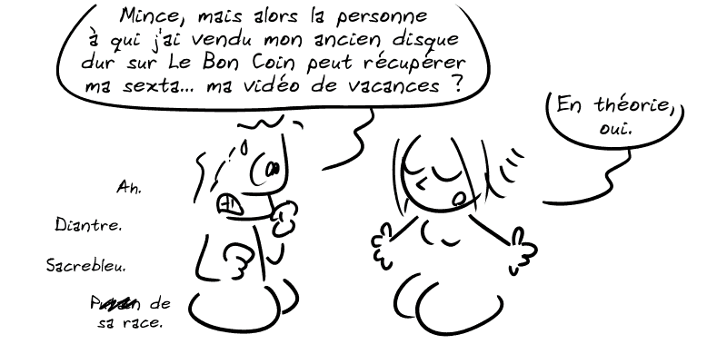 Un mec lambda, paniqué, dit : « Mince, mais alors la personne à qui j'ai vendu mon ancien disque dur sur Le Bon Coin peut récupérer ma sexta… ma vidéo de vacances ? » La Geekette répond : « En théorie oui. » Le mec : « Ah. Diantre. Sacrebleu. Pu##in de sa race. »