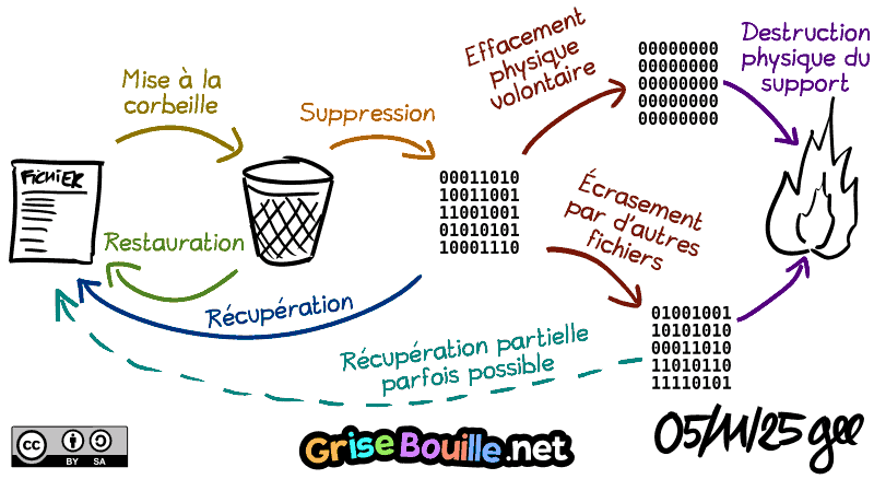 Un fichier est d'abord placé à la corbeille (où il peut être restauré) ; puis il est supprimé (où il peut être récupéré si pas encore écrasé) ; puis il est effacé physiquement par un utilitaire ou écrasé par un autre fichier (et la restauration est impossible ou partiellement possible) ; le support est détruit physiquement (c'est terminé). Note : BD sous licence CC BY SA (grisebouille.net), dessinée le 05 novembre 2025 par Gee.